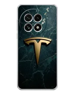 Чехол для OnePlus 13 с картинкой «Мраморная Tesla Gold»