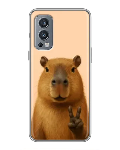 Чехол для OnePlus Nord 2 с картинкой «Капибара виктория»