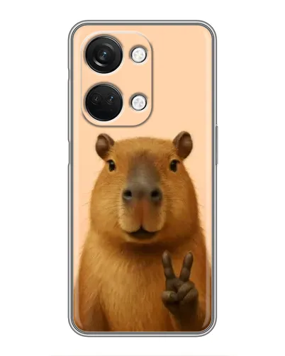 Чехол для OnePlus Nord 3 5G с картинкой «Капибара виктория»