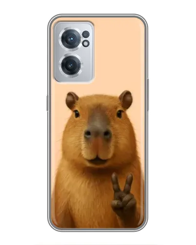 Чехол для OnePlus Nord CE 2 Lite 5G с картинкой «Капибара виктория»