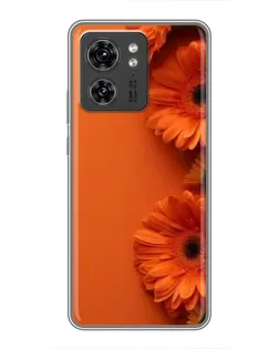 Чехол для OPPO A53 5g с картинкой «Оранжевые герберы»