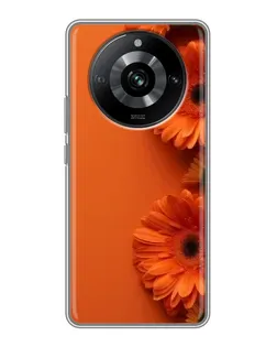 Чохол для Realme 11 Pro з картинкою «Помаранчеві гербери»