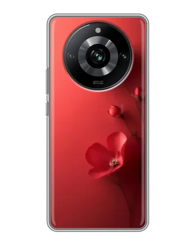 Чохол для Realme 11 з картинкою «Макові суцвіття»