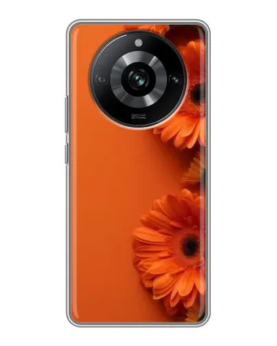 Чохол для Realme 11 з картинкою «Помаранчеві гербери»