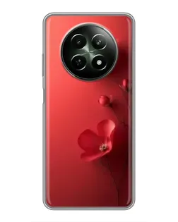 Чехол для Realme 12 5G с картинкой «Маковые соцветия» Чехол для Realme 12 5G с картинкой «Маковые соцветия»