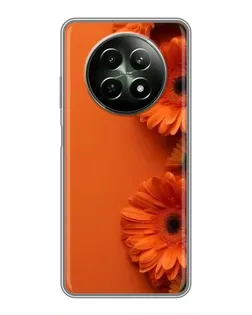 Чехол для Realme 12 5G с картинкой «Оранжевые герберы» Чехол для Realme 12 5G с картинкой «Оранжевые герберы»
