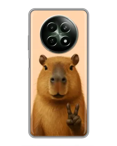 Чехол для Realme 12 5G с картинкой «Капибара виктория»