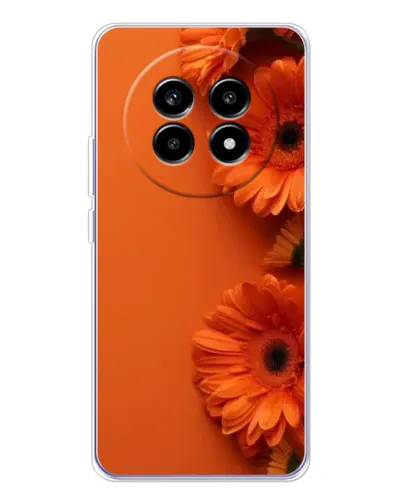 Чехол для Realme 13 Pro Plus с картинкой «Оранжевые герберы» Чехол для Realme 13 Pro Plus с картинкой «Оранжевые герберы»