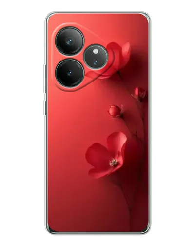 Чехол для Realme GT Neo 7 с картинкой «Маковые соцветия»