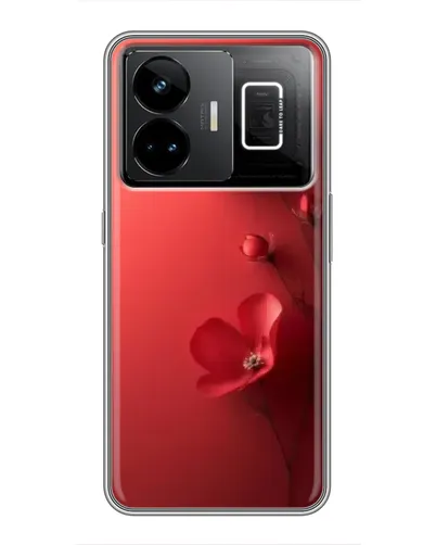 Чохол для Realme GT3 з картинкою «Макові суцвіття»