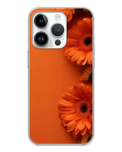 Чохол для Realme P4 з картинкою «Помаранчеві гербери» Чохол для Realme P4 з картинкою «Помаранчеві гербери»
