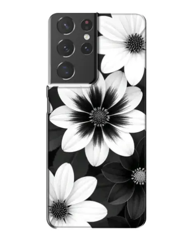 Чехол для Samsung Galaxy S21 Plus с картинкой «Монохромные астры»