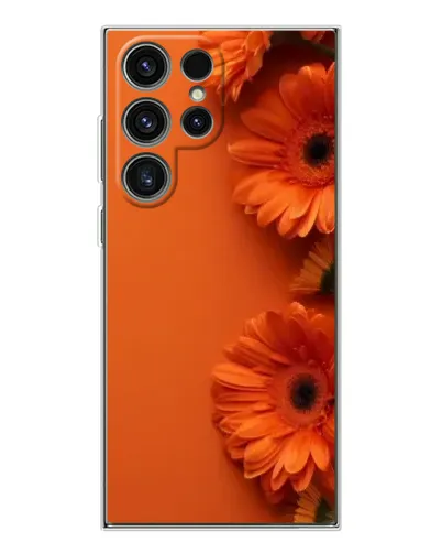 Чехол для Samsung Galaxy S25 Ultra с картинкой «Оранжевые герберы» Чехол для Samsung Galaxy S25 Ultra с картинкой «Оранжевые герберы»