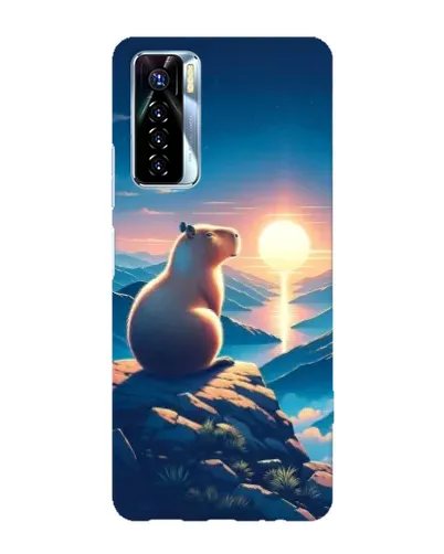 Чехол для TECNO Camon 17 Pro с картинкой «Закат солнца с капибарой»