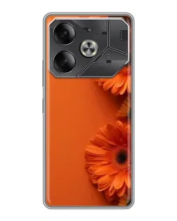 Чехол для TECNO Pova 6 с картинкой «Оранжевые герберы»