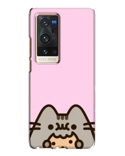 Чехол для Vivo X60 Pro Plus с картинкой «Pusheen и печенье»