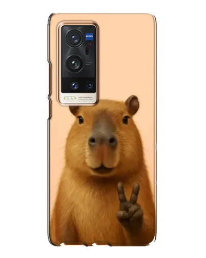 Чехол для Vivo X60 Pro Plus с картинкой «Капибара виктория»