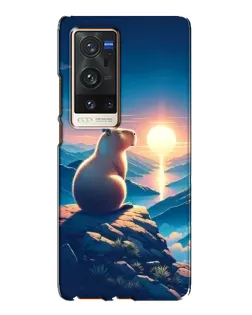 Чехол для Vivo X60 Pro Plus с картинкой «Закат солнца с капибарой»