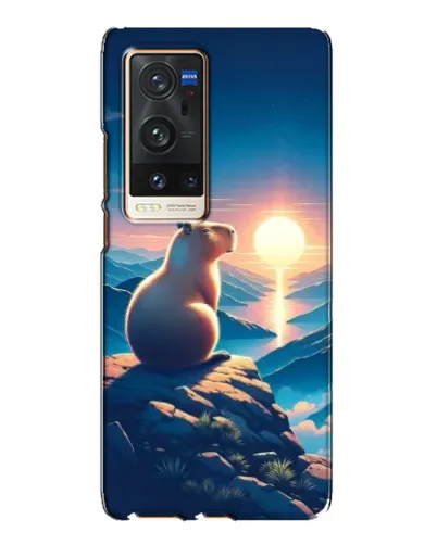 Чехол для Vivo X60 Pro Plus с картинкой «Закат солнца с капибарой»