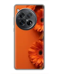 Чохол для Xiaomi Redmi K80 з картинкою «Помаранчеві гербери» Чохол для Xiaomi Redmi K80 з картинкою «Помаранчеві гербери»