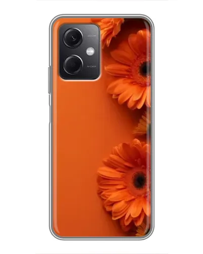 Чехол для Xiaomi Redmi Note 12 (5G) с картинкой «Оранжевые герберы»