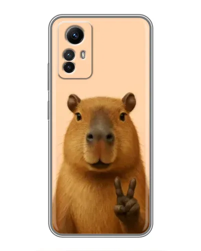 Чехол для Xiaomi Redmi Note 12s с картинкой «Капибара виктория» Чехол для Xiaomi Redmi Note 12s с картинкой «Капибара виктория»