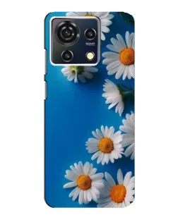 Чехол для ZTE Blade V50 Vita с картинкой «Белоснежные маргаритки»