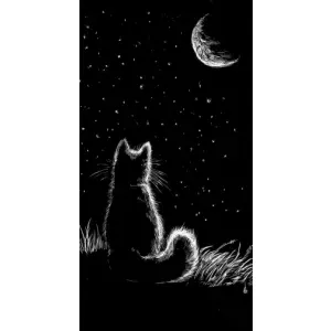 Чохол з принтом для Самсунг А02 (AlphaPrint) Модні коти (Котик і місяць)