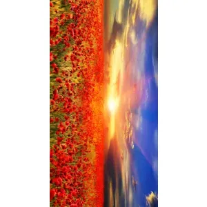Чохол з картинкою (Стильні) Самсунг А02 - (AlphaPrint) (Поле тюльпанів)