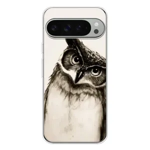 Чохол з пташками на Google Pixel 10 Pro XL (VPrint) (Сова)