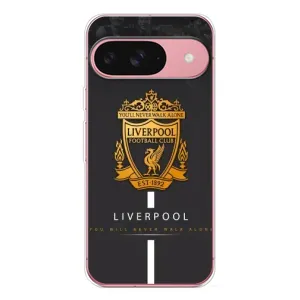 Чохли для Піксель 10 (VPrint) - ТОП ФК