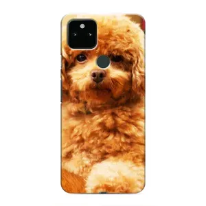 Чехол с принтом «Щенок Бишон» для Google Pixel 5