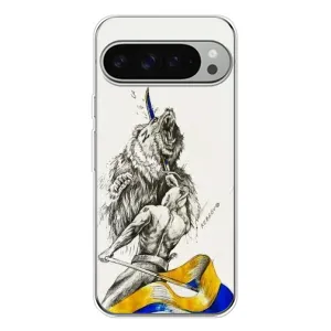 Чохли (Доброго вечора, ми за України) для Піксель 9 Про ХЛ (AlphaPrint) (Перемога)