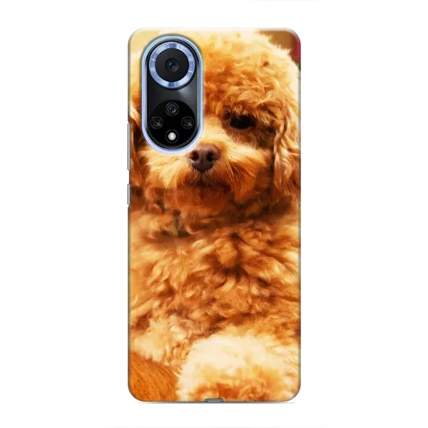 Чехол с принтом «Щенок Бишон» для Huawei Honor X7b