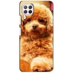 Чохол з принтом «Цуценя Бішон» для Huawei P40 Lite