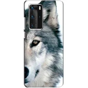 Чохли з картинкою животних Huawei P40 Pro (Вовк)
