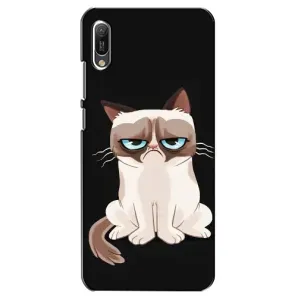 Чохол з принтом для Huawei Y6 2019 (AlphaPrint) Модні коти (Сумний кіт)
