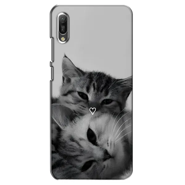 Чохол з принтом «Пара котів» для Huawei Y6 2019
