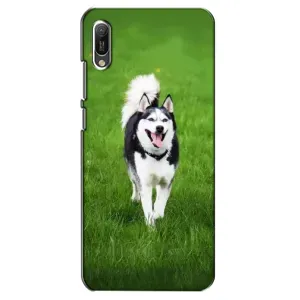 Чохол з Хаскі Huawei Y6 2019 - (AlphaPrint) (Радісний Хаскі)