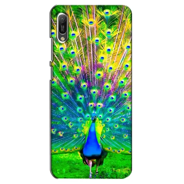 Чехол с принтом «Яркий Павлин» для Huawei Y6 2019 Чехол с принтом «Яркий Павлин» для Huawei Y6 2019