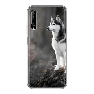 Чехол с Хаски для Huawei Y7 Pro 2019 - (AlphaPrint) (Верный пес)