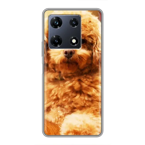 Чехол с принтом «Щенок Бишон» для Infinix Note 30 Pro Чехол с принтом «Щенок Бишон» для Infinix Note 30 Pro