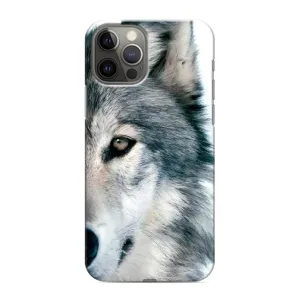 Чехлы с картинками животных iPhone 12 Pro Max (Волк)