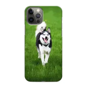 Чохол з принтом «Радісний Хаскі» для iPhone 12 Pro