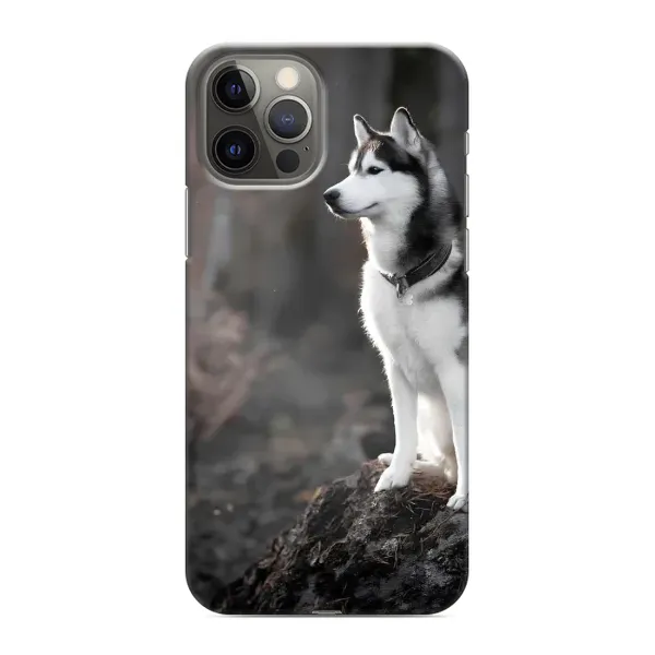 Чохол з принтом «Вірний собака» для iPhone 12 Pro Чохол з принтом «Вірний собака» для iPhone 12 Pro