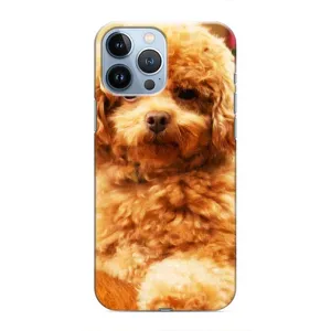 Чехол с принтом «Щенок Бишон» для iPhone 13 Pro Max