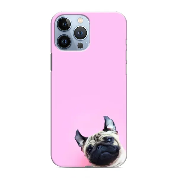 Чехол с принтом «Смешная собака» для iPhone 13 Pro Max