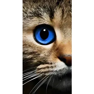 Чехлы с Котиками для iPhone 14 Plus (VPrint)