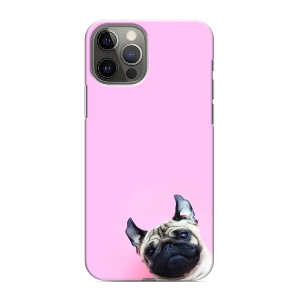 Чохол з принтом «Смішна собака» для iPhone 11 Pro Max
