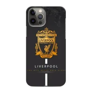 Чохли для Епл 11 Про (VPrint) - ТОП ФК (FC Liverpool)